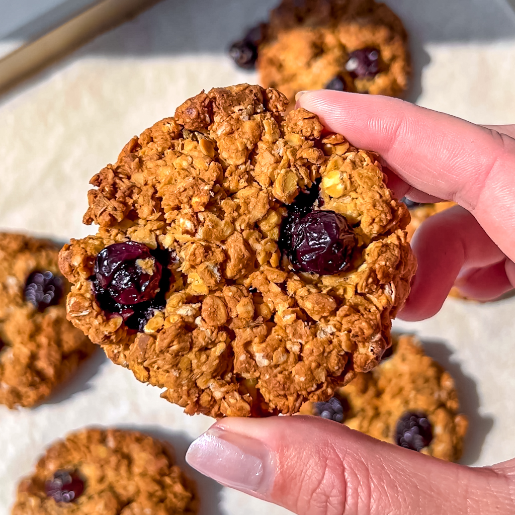 blueberry-white-chocolate-oat-cookies-eva-koper-foodie